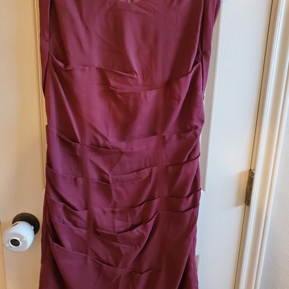 Express Maroon Dress